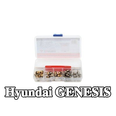 TAGRED صمام تمدد تكييف الهواء — Hyundai Genesis