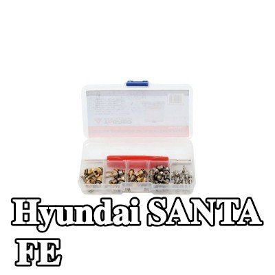 TAGRED صمام تمدد تكييف الهواء — Hyundai Santa Fe