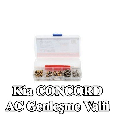 TAGRED AC genleşme valfi — Kia Concord