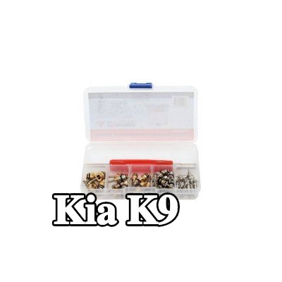 TAGRED صمام تمدد تكييف الهواء — Kia K9