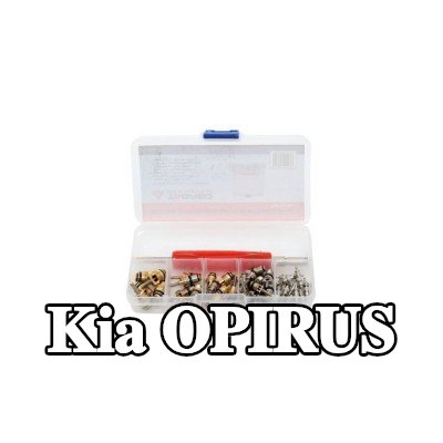 TAGRED صمام تمدد تكييف الهواء — Kia Opirus