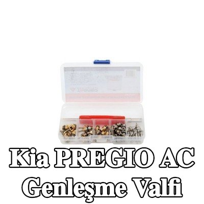 TAGRED AC genleşme valfi — Kia Pregio