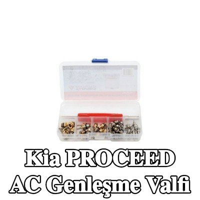 TAGRED AC genleşme valfi — 2011 Kia Proceed