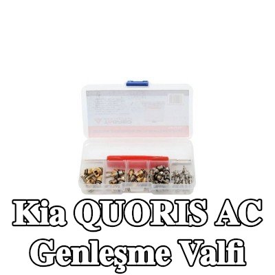 TAGRED AC genleşme valfi — Kia Quoris