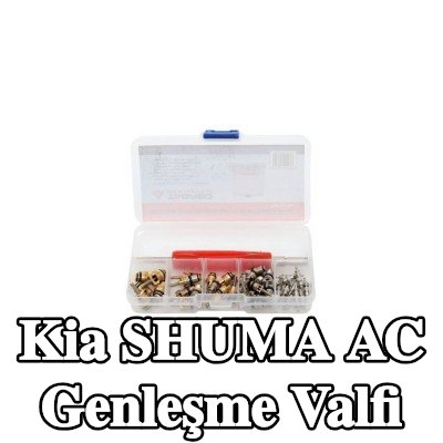 TAGRED AC genleşme valfi — Kia Shuma