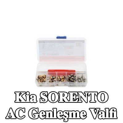 TAGRED AC genleşme valfi — Kia Sorento