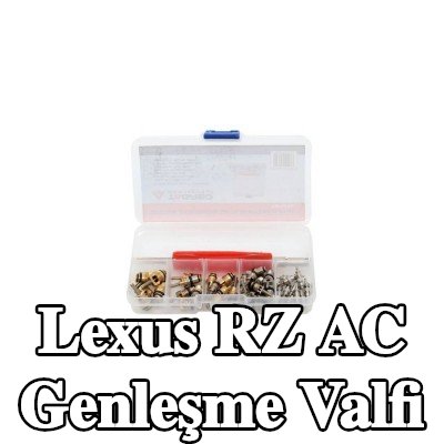 TAGRED AC genleşme valfi — Lexus Rz