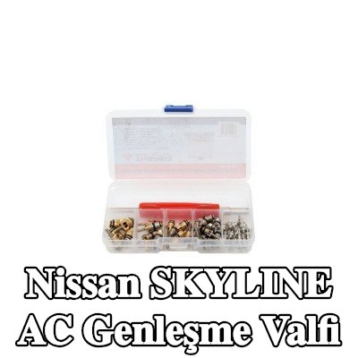 TAGRED AC genleşme valfi — Nissan Skyline