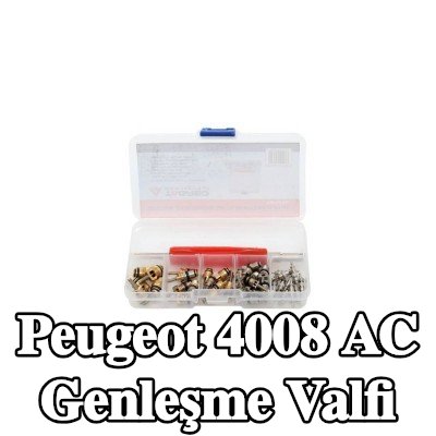 TAGRED AC genleşme valfi — Peugeot 4008