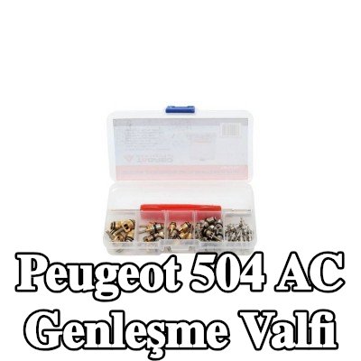 TAGRED AC genleşme valfi — Peugeot 504