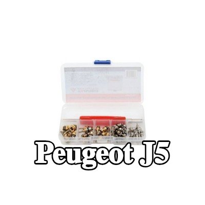 TAGRED صمام تمدد تكييف الهواء — Peugeot J5