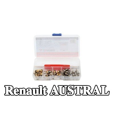 TAGRED صمام تمدد تكييف الهواء — Renault Austral