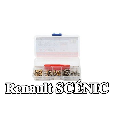 TAGRED صمام تمدد تكييف الهواء — Renault Scénic