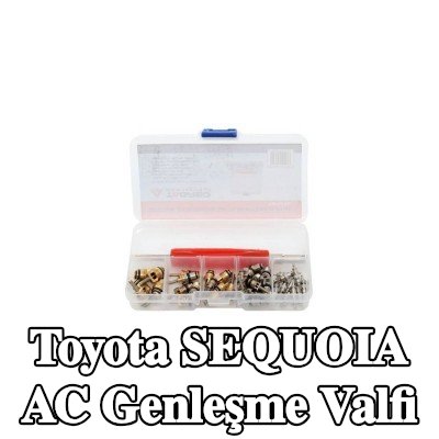 TAGRED AC genleşme valfi — Toyota Sequoia