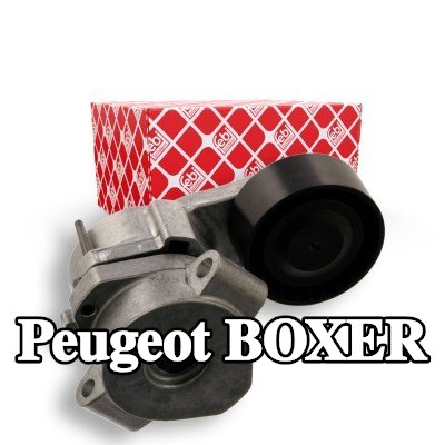 FEBI BILSTEIN مشده حزام المحرك — Peugeot Boxer