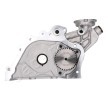 JAPANPARTS Yağ Pompası — Chevrolet Captiva (2)