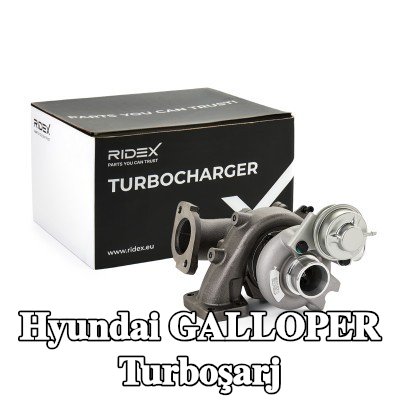 RIDEX Turboşarj, contalar/sızdırmazlık elemanları hariç — 1997 Hyundai Galloper