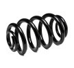 SACHS Helezon yay — 2003 BMW X3 (2)