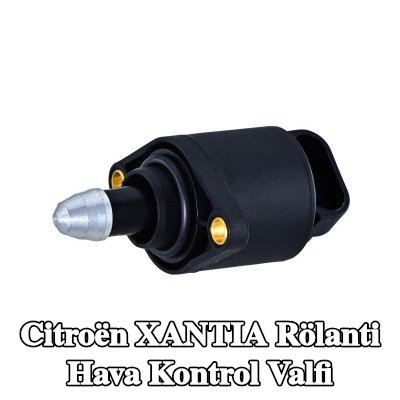 HELLA Contalı/sızdırmazlık elemanlı rölanti hava kontrol valfi — Citroën Xantia