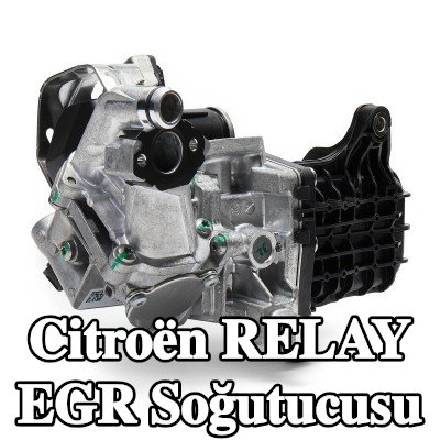 MAHLE Contasız EGR soğutucu, EGR valfli — 2016 Citroën Relay