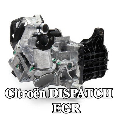 MAHLE مبرد EGR بدون حشية/مانع تسرب, مع صمام EGR — 2017 Citroën Dispatch