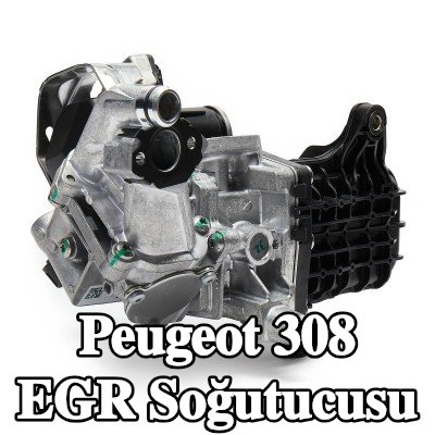 MAHLE Contasız EGR soğutucu, EGR valfli — 2016 Peugeot 308