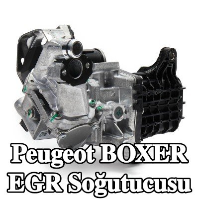 MAHLE Contasız EGR soğutucu, EGR valfli — 2016 Peugeot Boxer