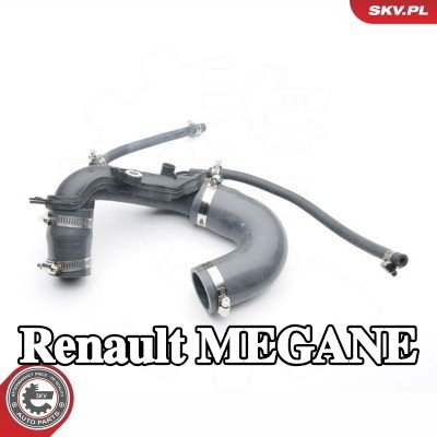 ESEN SKV أنبوب السحب, مرشح الهواء المركزي, الخلفي — 2004 Renault Megane