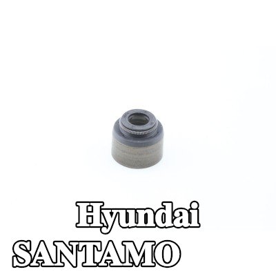 CORTECO حشية صمام — Hyundai Santamo