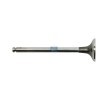 DT Spare Parts Egzoz valfi — 1998 Opel Movano (1)