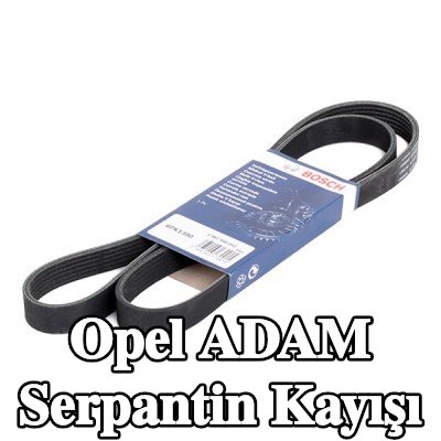BOSCH Serpantin kayışı 1390mm, Number of ribs: 6 — Opel Adam