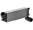 MAHLE Intercooler — 2005 Citroën C8 (7)