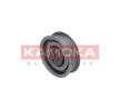 KAMOKA Aksesuarsız zincir gergi kasnağı — Nissan Altima (1)