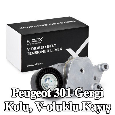 RIDEX Gergi Kolu, V-oluklu kayış — Peugeot 301