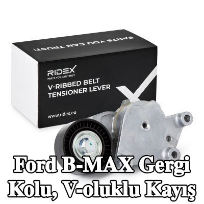 RIDEX Gergi Kolu, V-oluklu kayış — Ford B-max