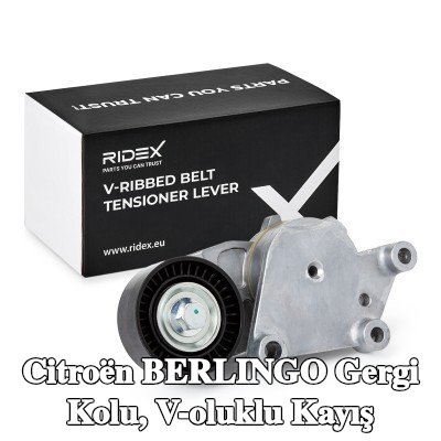 RIDEX Gergi Kolu, V-oluklu kayış — Citroën Berlingo