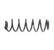 SACHS Helezon yay — Volkswagen New Beetle (3)