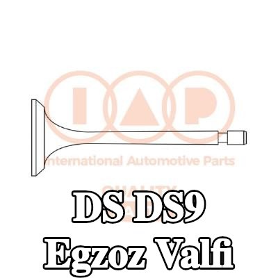 IAP QUALITY PARTS Egzoz valfi — 2021 DS Ds9