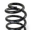 EIBACH Sarmal yay Single Spring Pro-Kit, Arka Aks — Renault Talisman (3)