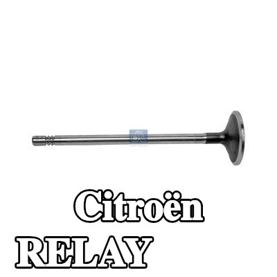 DT Spare Parts صمام السحب — Citroën Relay