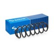 SACHS Helezon yay — SEAT Cordoba (1)