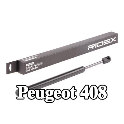 RIDEX دعامة الباب الخلفي الخلفية, كلا الجانبين, 313, 5mm — Peugeot 408