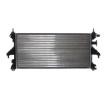 MAHLE Motor radyatörü — Citroën Relay (7)