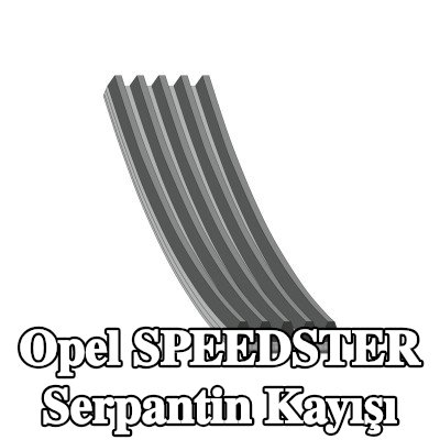 FEBI BILSTEIN Serpantin kayışı 880mm, Number of ribs: 5 — 2000 Opel Speedster