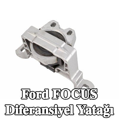 METZGER Diferansiyel yatağı, ön — Ford Focus
