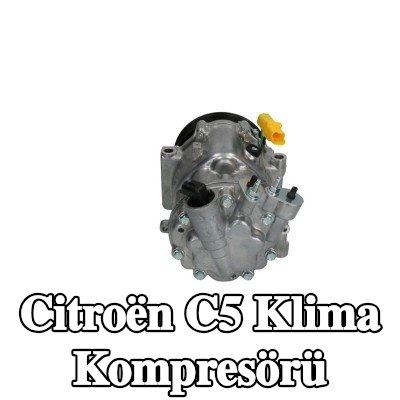 BOSCH Montaj kılavuzu ile klima kompresörü, conta halkası ile — 2005 Citroën C5