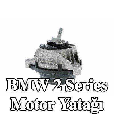 VAICO Motor yatağı Q+, orijinal ekipman üreticisi kalitesi MADE IN GERMANY, Sağ — 2012 BMW 2 Series