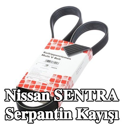 FEBI BILSTEIN Serpantin kayışı 1220mm, Number of ribs: 6 — Nissan Sentra