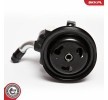 ESEN SKV Hidrolik direksiyon pompası — 1994 Ford Fiesta (11)