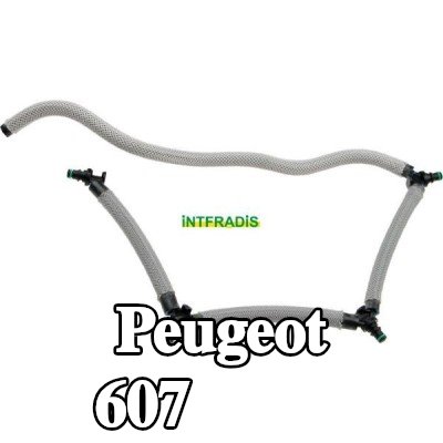 INTFRADIS خط الوقود — Peugeot 607